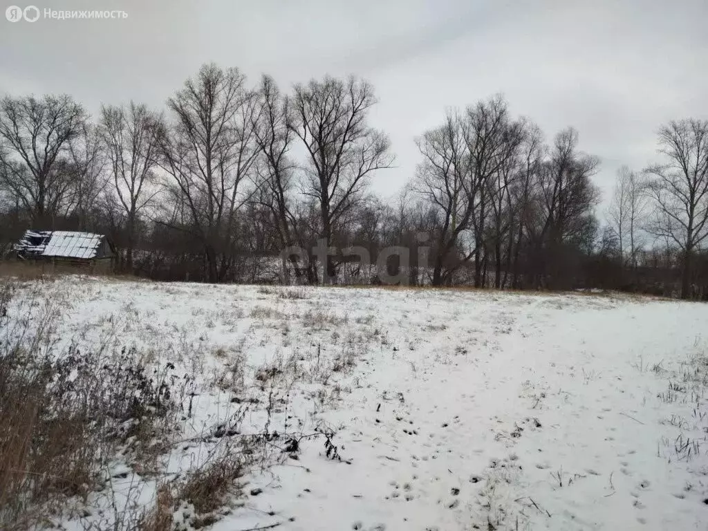 Дом в деревня Новогуровка, Центральная улица (38.3 м) - Фото 1