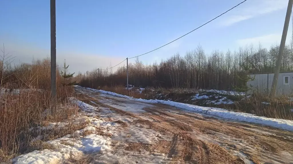 Участок в Новгородская область, Новгородский район, Бронницкое с/пос, ... - Фото 0