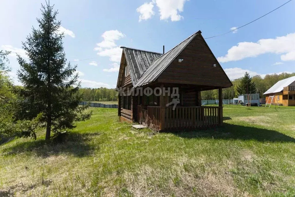 Участок в Новосибирская область, Тогучинский район, с. Коурак пер. ... - Фото 1