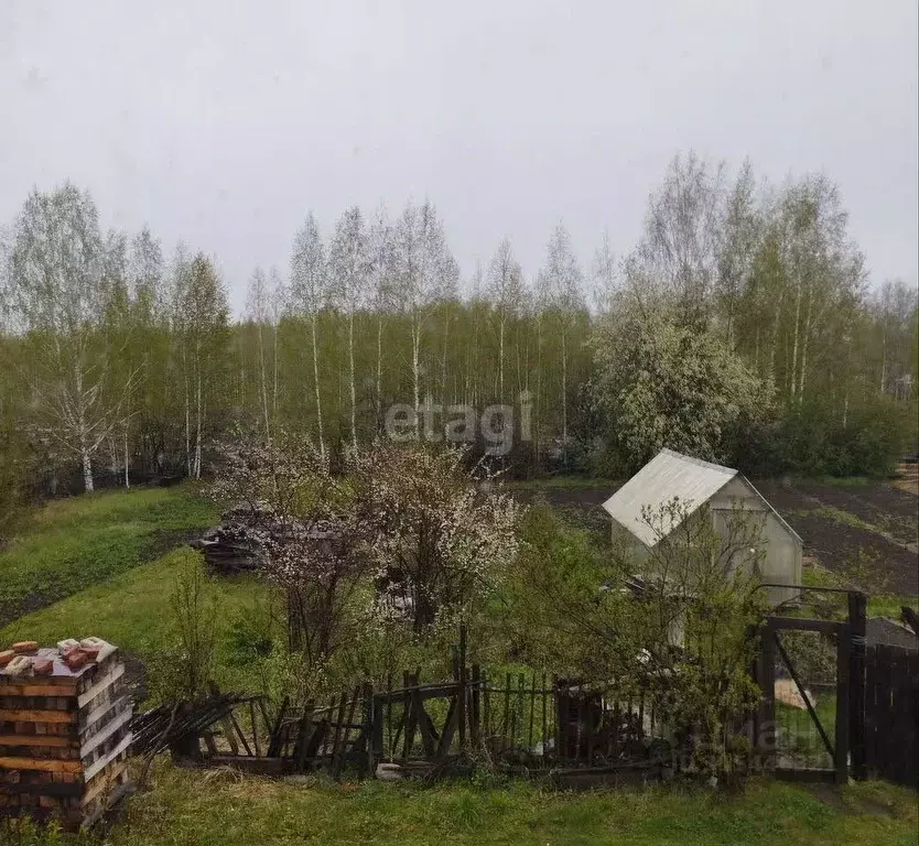 Участок в Свердловская область, Нижний Тагил Роща СНТ, ул. 6-я, 270 ... - Фото 1