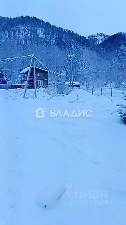 Участок в Алтай, Майминский район, Соузгинское с/пос, Катунь ДНП  ... - Фото 2