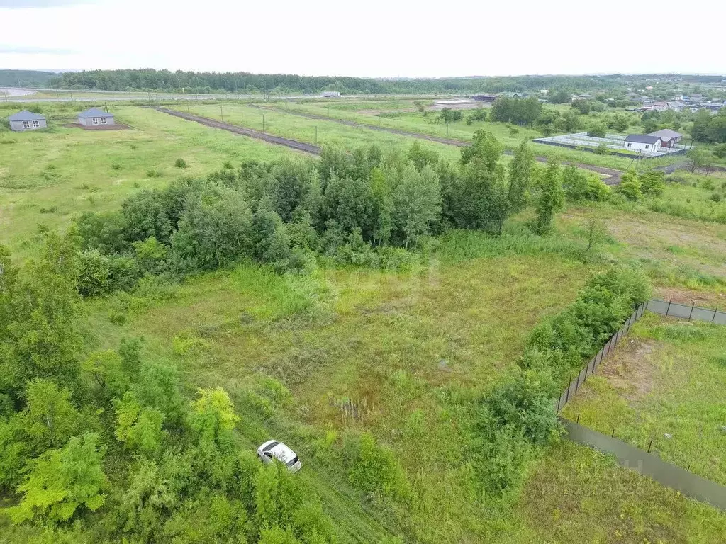 Участок в Хабаровский край, Хабаровский район, с. Сосновка Лесная ул., ... - Фото 1