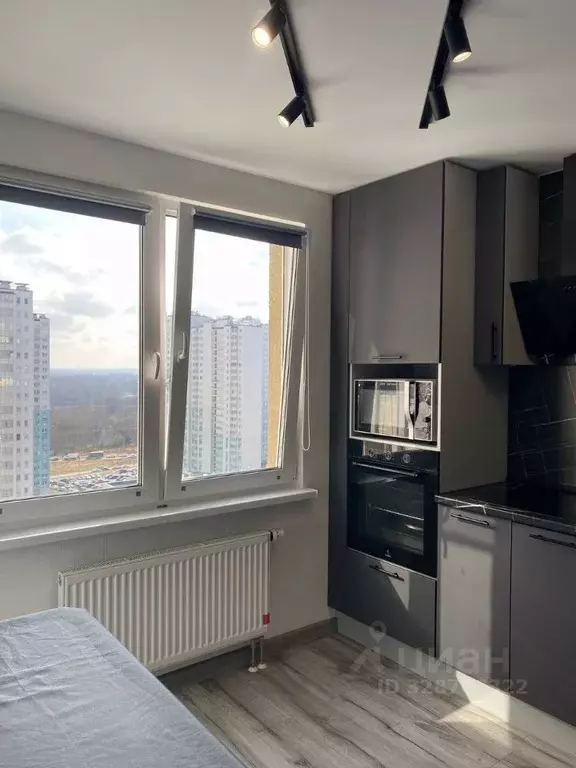 1-к кв. Санкт-Петербург ул. Чарушинская, 24к1 (29.4 м) - Фото 2