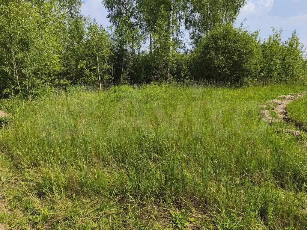 Участок 4,6 сот. (ИЖС) - Фото 1