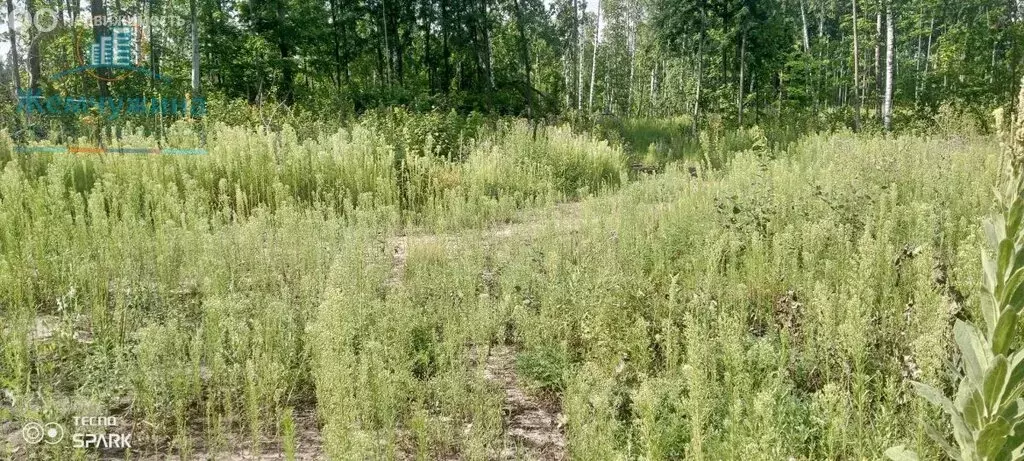 Участок в Ульяновская область, Димитровград (10 м) - Фото 2