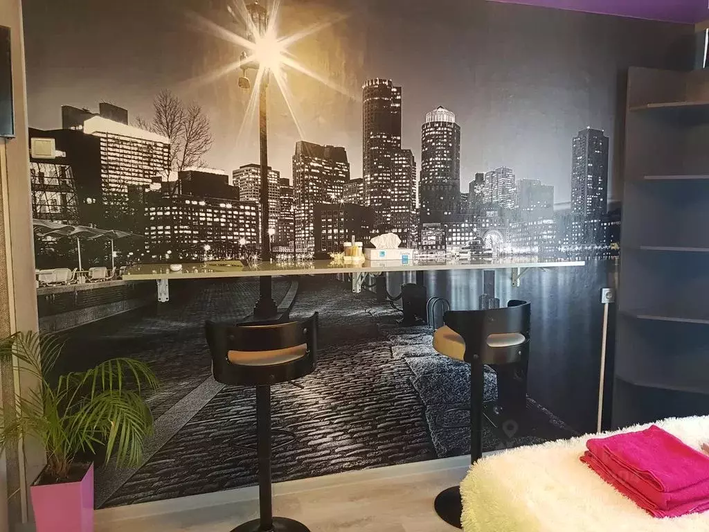 Студия Приморский край, Владивосток Сельская ул., 10 (17.0 м) - Фото 2