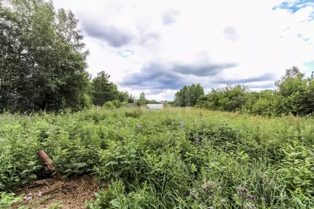 Участок в Тюменская область, Нижнетавдинский муниципальный округ, ... - Фото 1