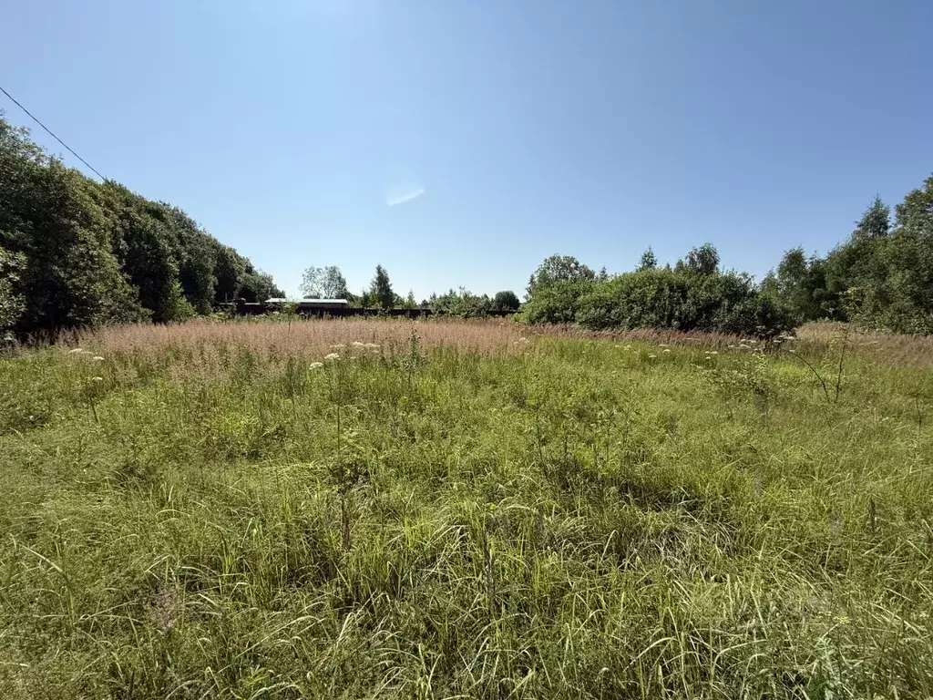 Участок в Тульская область, Заокский район, Демидовское с/пос, д. ... - Фото 1