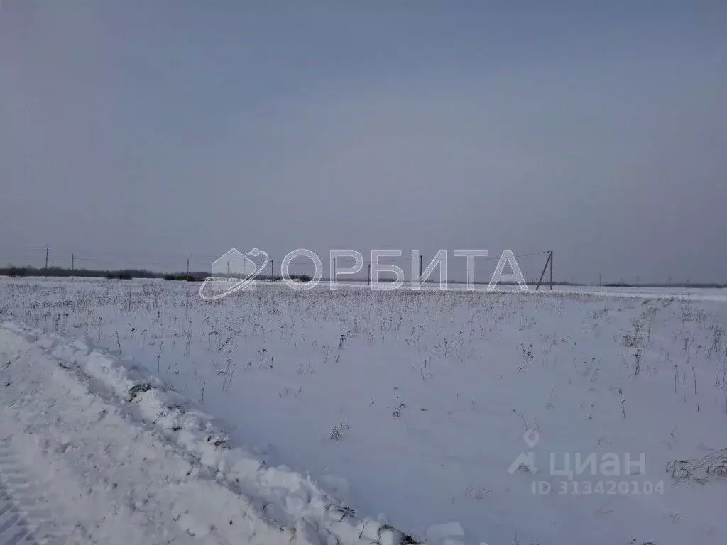 Участок в Тюменская область, Тюменский район, д. Марай  (9.9 сот.) - Фото 1