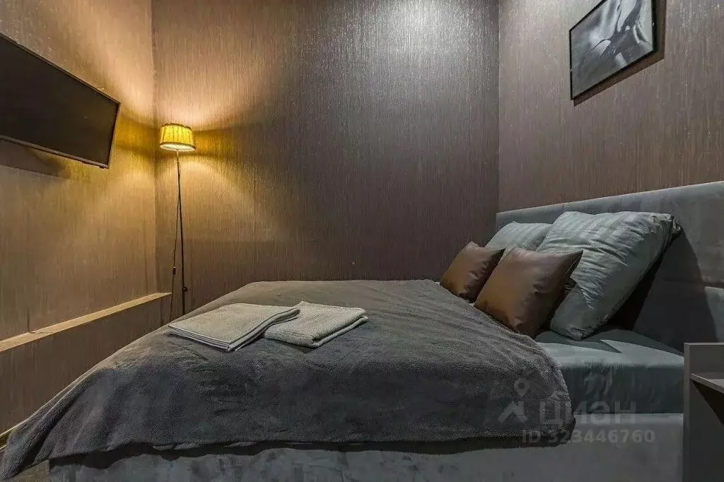 1-к кв. Нижегородская область, Нижний Новгород ул. Печерский Съезд, ... - Фото 1