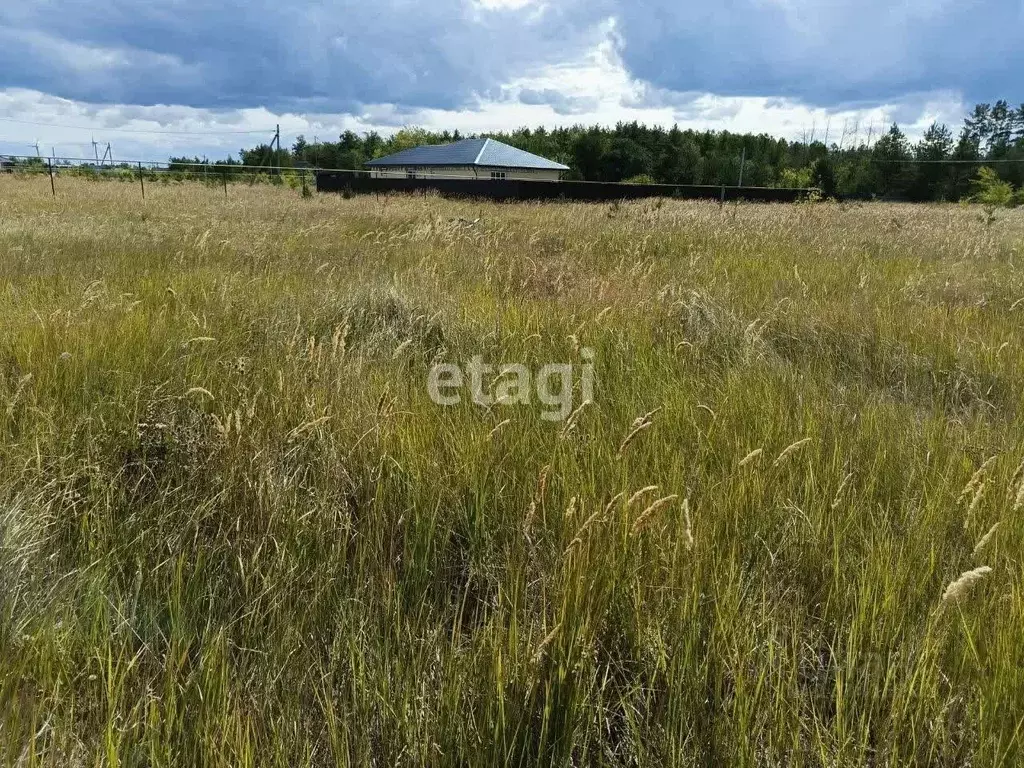 Участок в Ульяновская область, Ульяновск городской округ, с. Лаишевка  ... - Фото 0