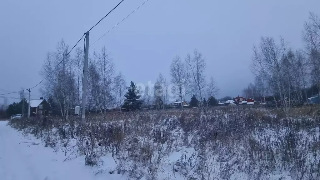 Участок в Московская область, Коломна городской округ, д. Малое ... - Фото 2