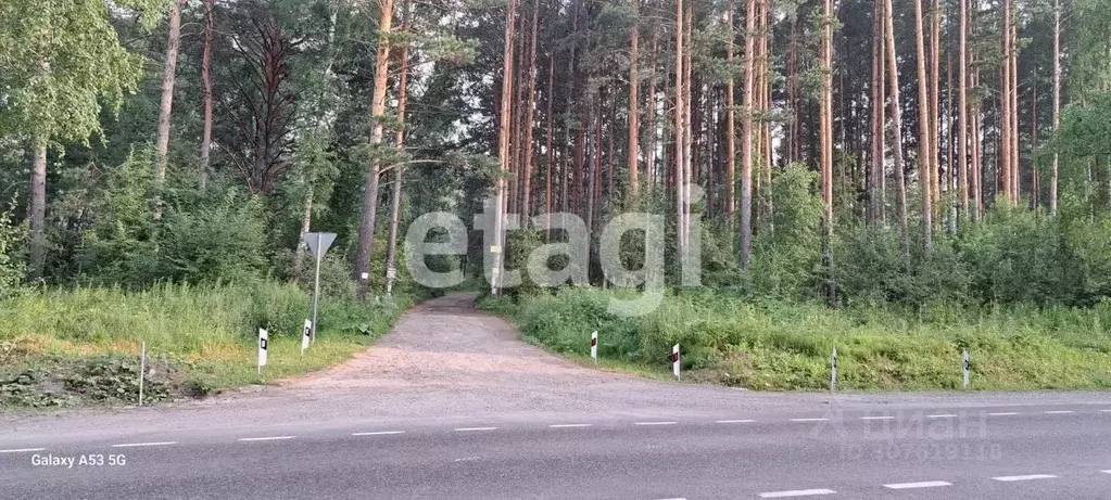 Участок в Красноярский край, Дивногорск городской округ, с. Овсянка  ... - Фото 0