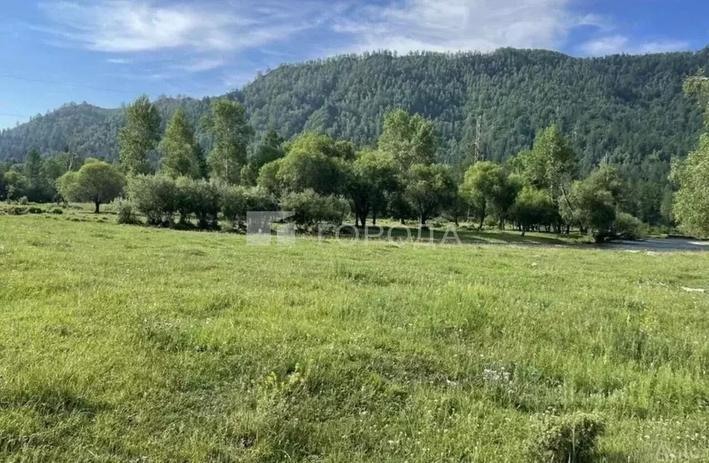 Участок в Алтай, с. Онгудай ул. Подгорная (8.7 сот.) - Фото 1