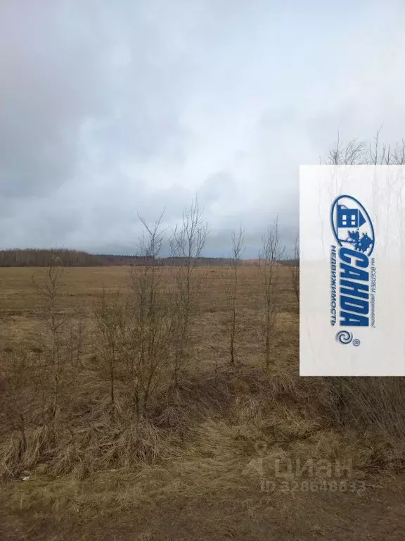 Участок в Тверская область, Калининский муниципальный округ, д. ... - Фото 2