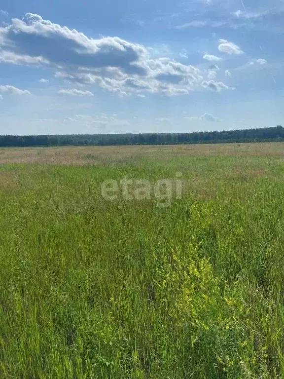 участок в челябинская область, сосновский район, с. кременкуль (8.5 . - Фото 1