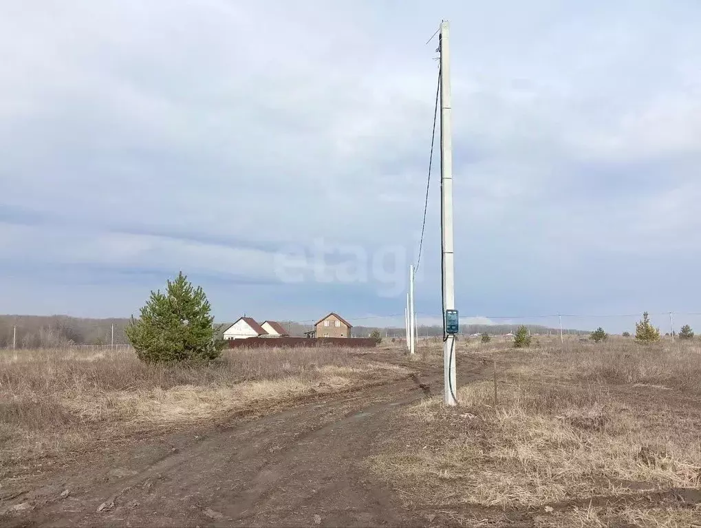 Участок в Курская область, Курский район, Моковский сельсовет, д. ... - Фото 1