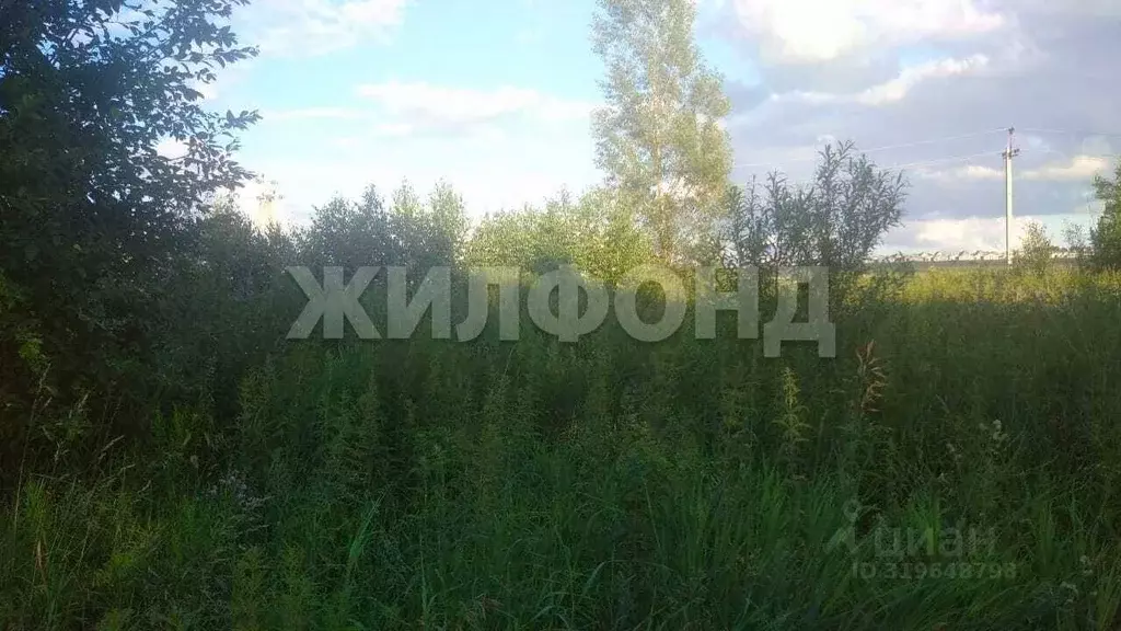 Участок в Новосибирская область, Новосибирский район, Каменский ... - Фото 0