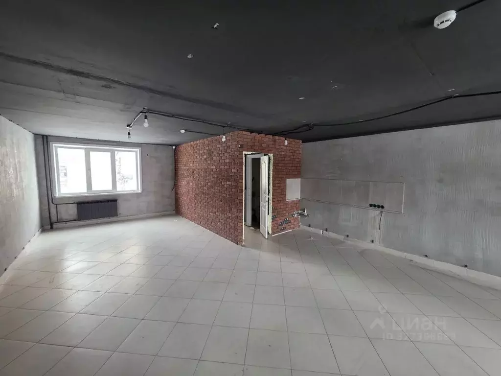 Помещение свободного назначения в Новосибирская область, Бердск ул. ... - Фото 2