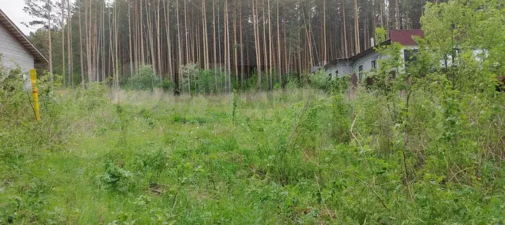Участок 12 сот. (ИЖС) - Фото 0
