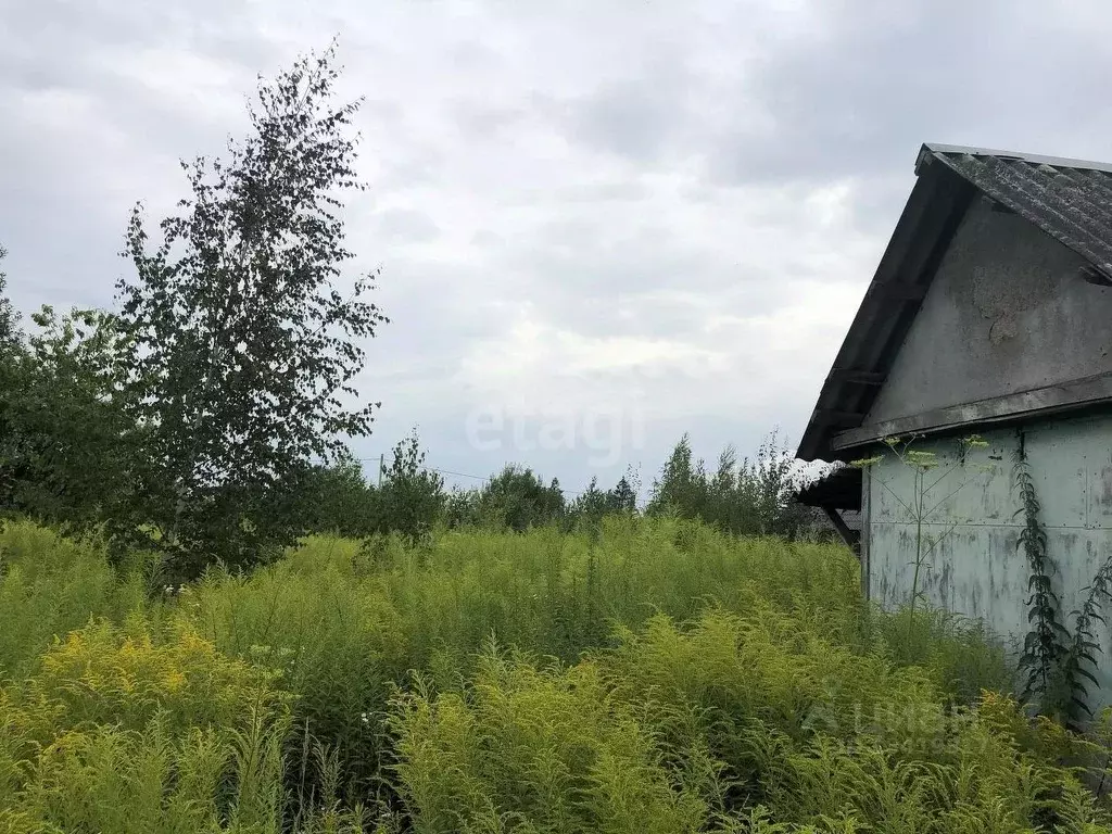 Дом в Брянская область, Брянский район, Добрунское с/пос, д. Добрунь, ... - Фото 1