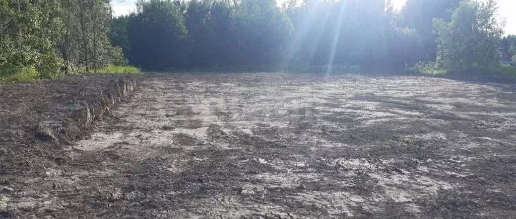 Участок в Ленинградская область, Ломоносовский район, Лопухинское ... - Фото 1