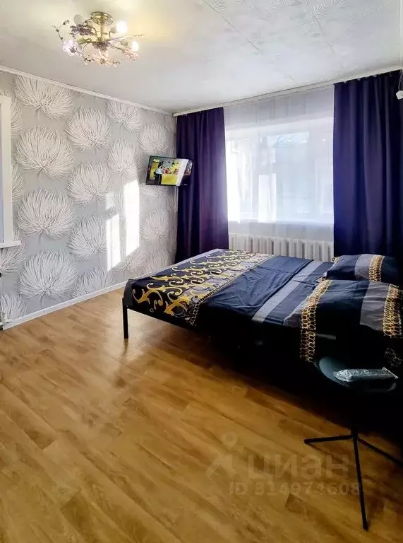 1-к кв. Амурская область, Благовещенск ул. Ломоносова, 174 (30.0 м) - Фото 1