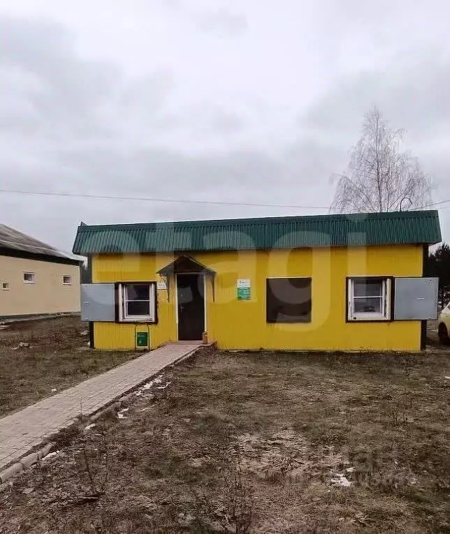 Торговая площадь в Тульская область, Волово рп ул. Слепцова, 50А (48 ... - Фото 1