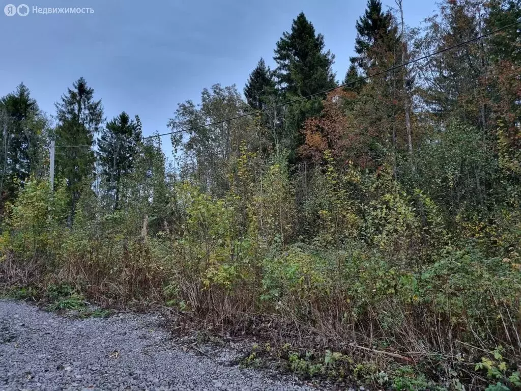 Участок в Череповец, Малая Кемеровская улица (8 м) - Фото 1