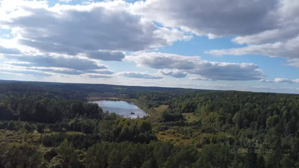Участок в Карелия, Лахденпохский муниципальный округ, Куркиекское ... - Фото 2