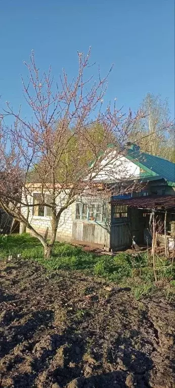 Дом в Брянская область, Почеп Полянская ул., 32 (50 м) - Фото 1
