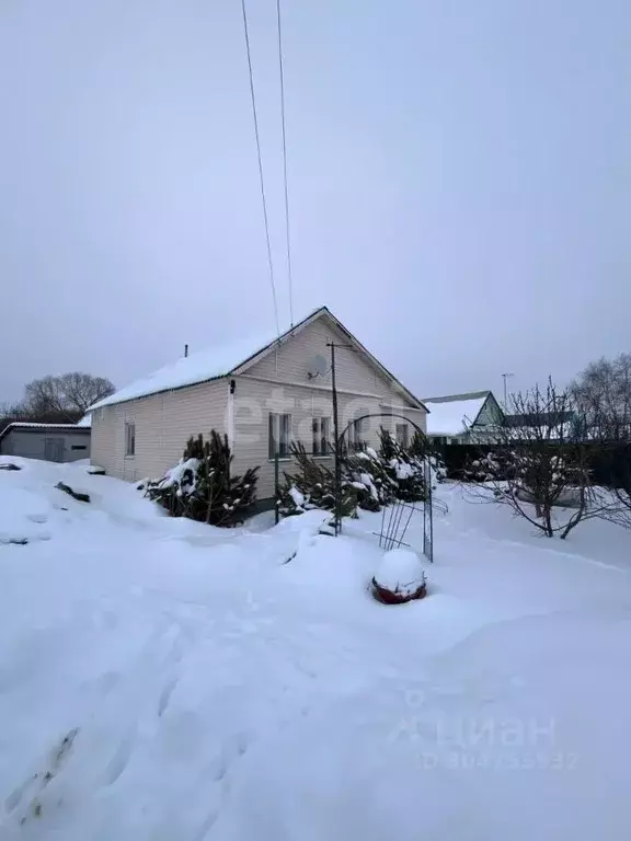 Дом в Пензенская область, Бессоновский район, с. Грабово ул. Кармишина ... - Фото 1