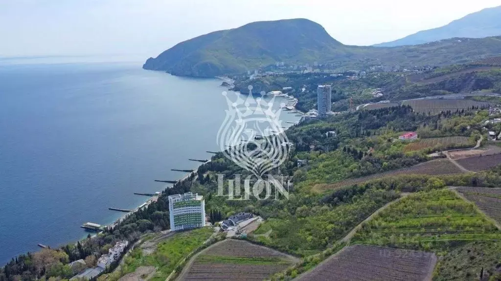 Участок в Крым, Алушта муниципальный округ, с. Кипарисное ул. ... - Фото 2
