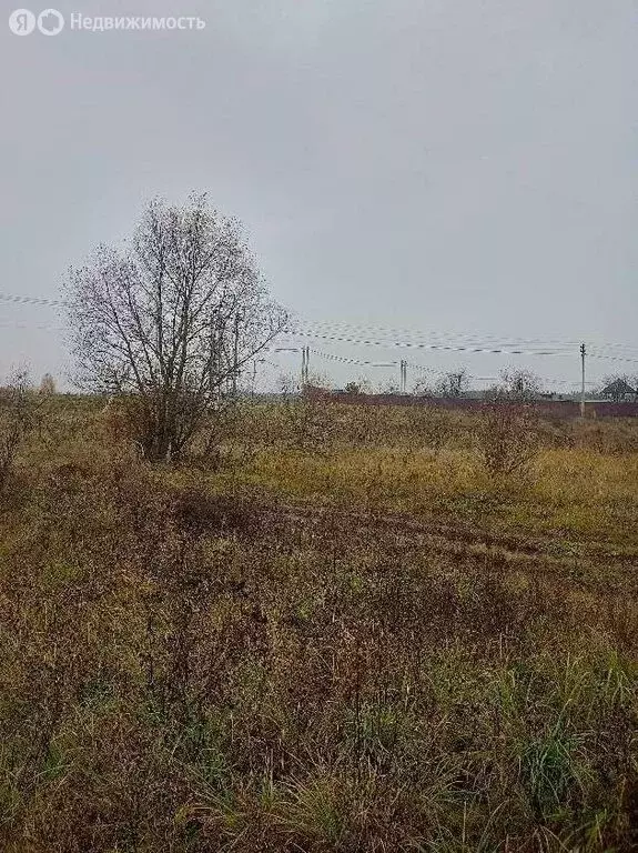 Участок в Ступино, Белопесоцкая улица (8 м) - Фото 1