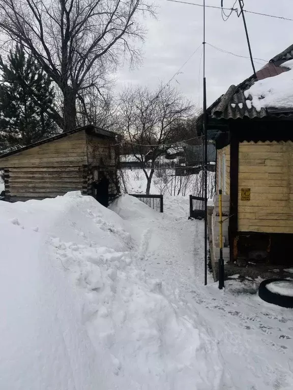 Дом в Алтайский край, Новоалтайск Лесная ул., 37 (34 м) - Фото 1