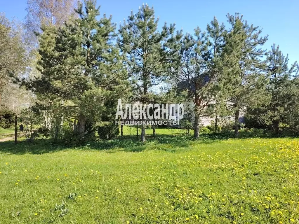 Участок в Ленинградская область, Гатчинский район, д. Корпиково  (16.0 ... - Фото 1