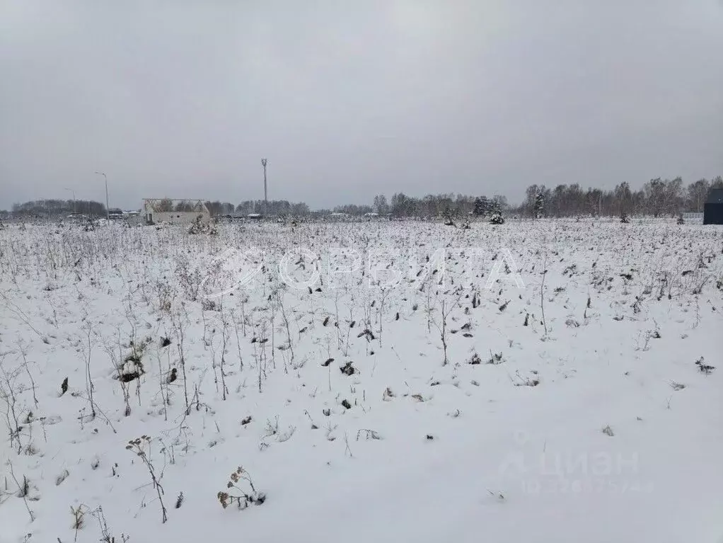 Участок в Тюменская область, Тюмень  (310.0 сот.) - Фото 1