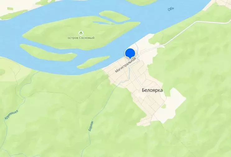 Участок в Новосибирская область, Мошковский район, с. Белоярка  (20.87 ... - Фото 2