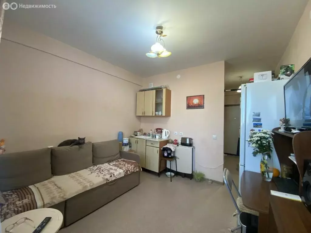 Квартира-студия: Нижний Новгород, Южный бульвар, 11 (19 м) - Фото 2