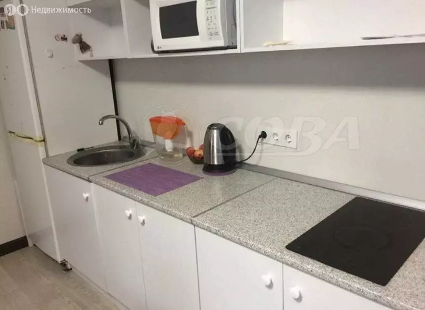 Квартира-студия: Тюмень, улица Андрея Бушуева, 2 (30 м) - Фото 1