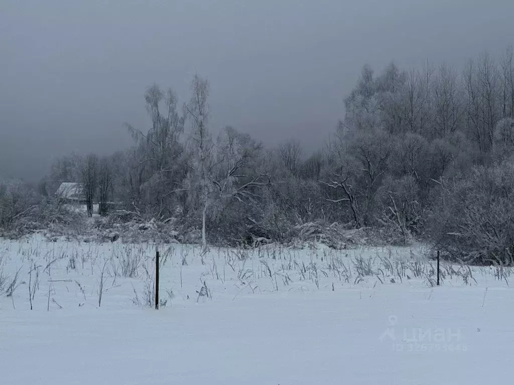 Участок в Московская область, Солнечногорск городской округ, д. ... - Фото 2
