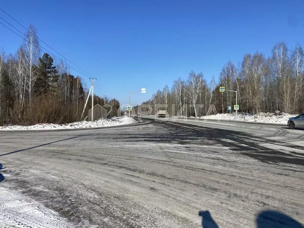 Участок в Тюменская область, Нижнетавдинский район, Тюневское с/пос, ... - Фото 0