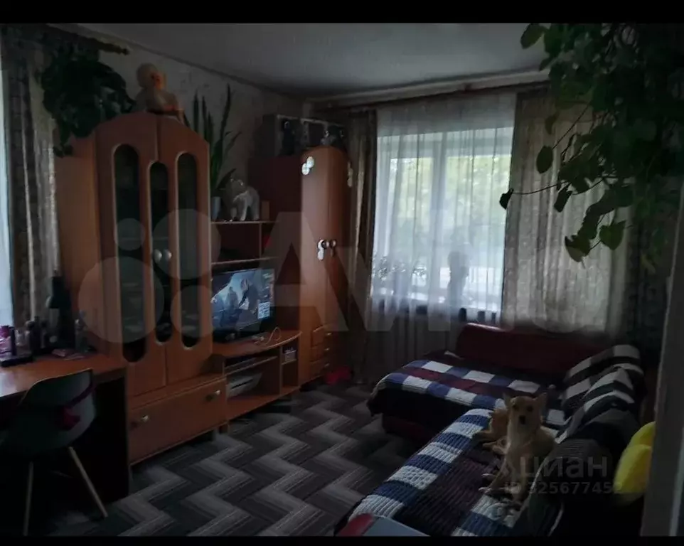 1-к кв. Ульяновская область, Димитровград ул. 9-я Линия, 1 (32.0 м) - Фото 2