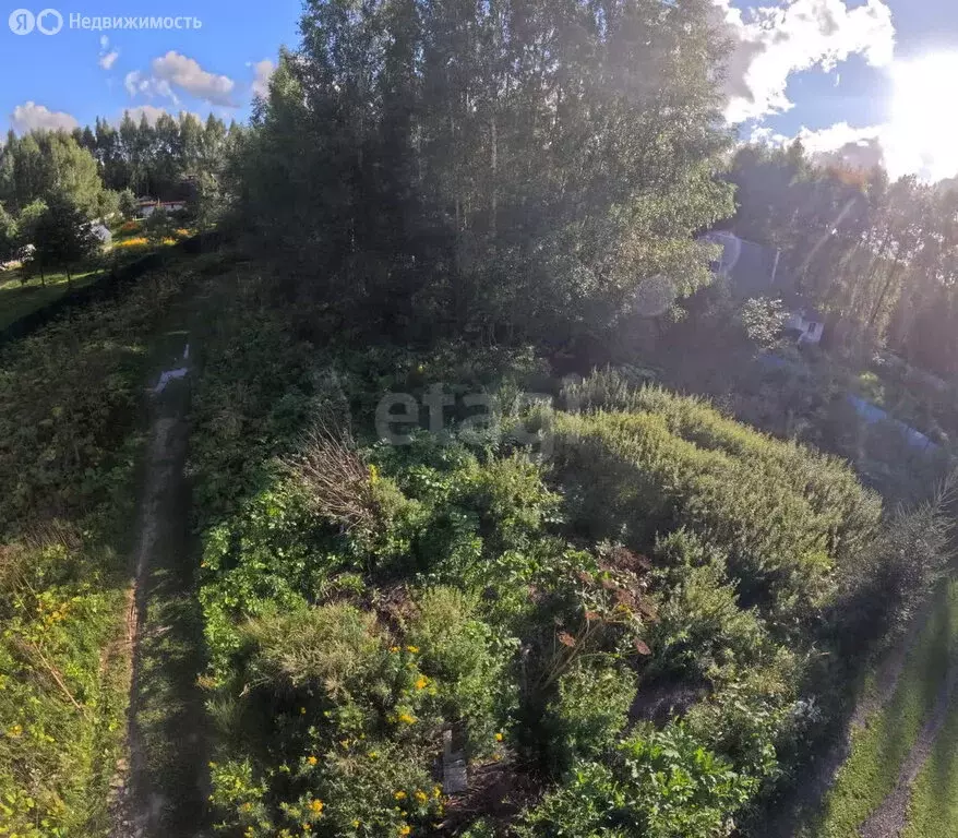 Участок в Московская область, городской округ Клин, село Горки (15 м) - Фото 0
