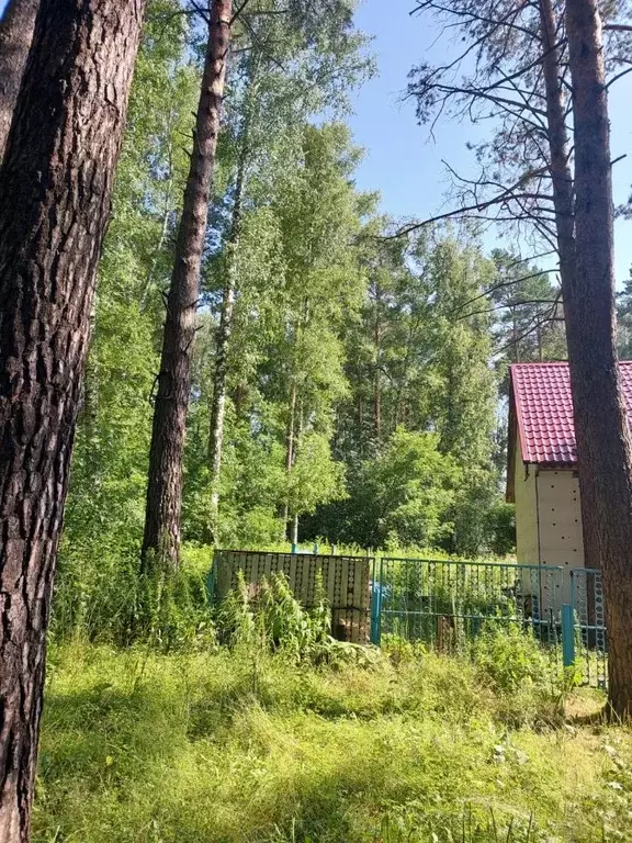 Участок в Новосибирская область, Новосибирск Лесное ш., 22 (5.7 сот.) - Фото 0