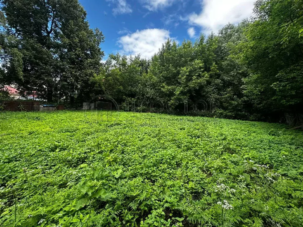 Продается участок в СНТ Водолей - Фото 2