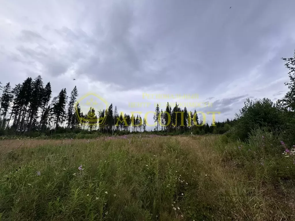 Участок в Свердловская область, Ревда муниципальный округ, с. Мариинск ... - Фото 1