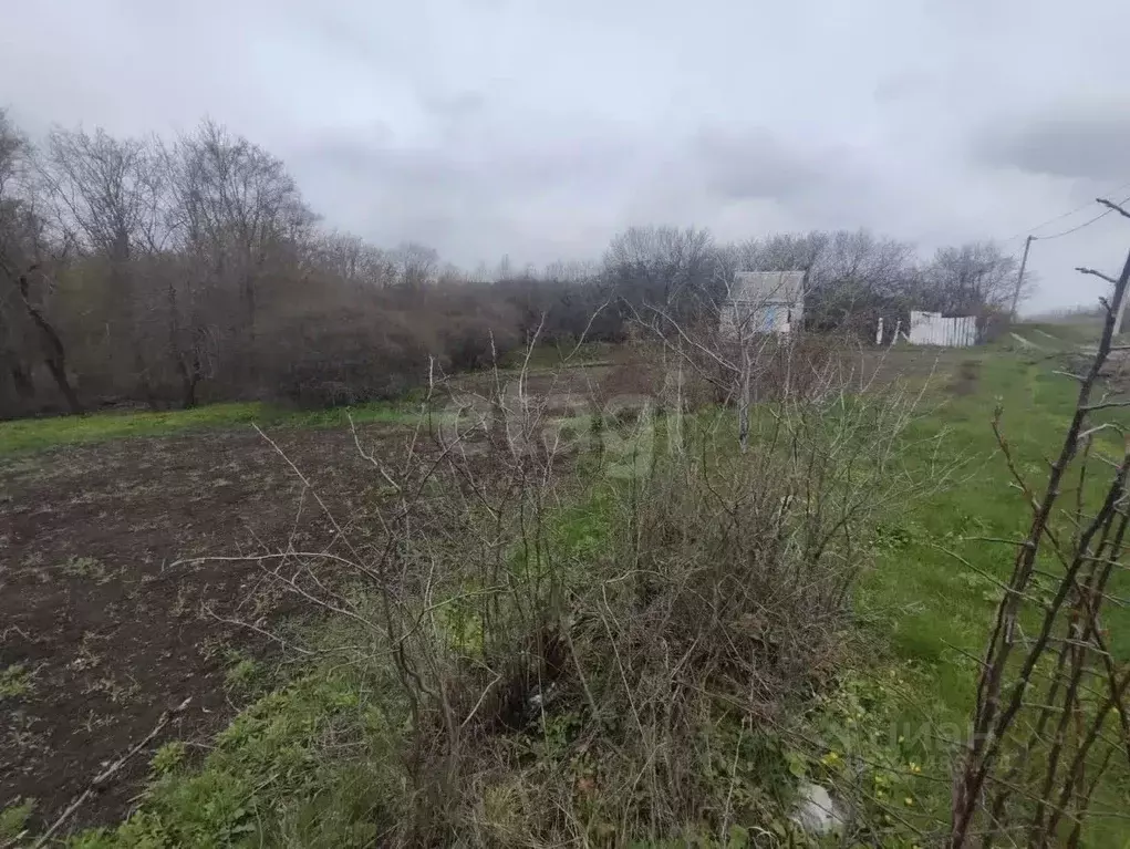 Участок в Белгородская область, Строитель Яковлевский городской округ, ... - Фото 1