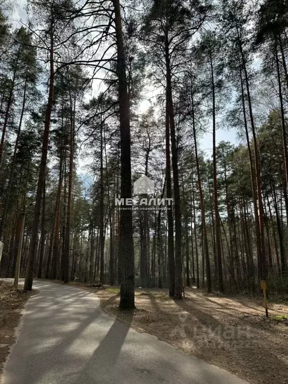 Участок в Татарстан, Лаишевский район, д. Матюшино  (191.0 сот.) - Фото 1