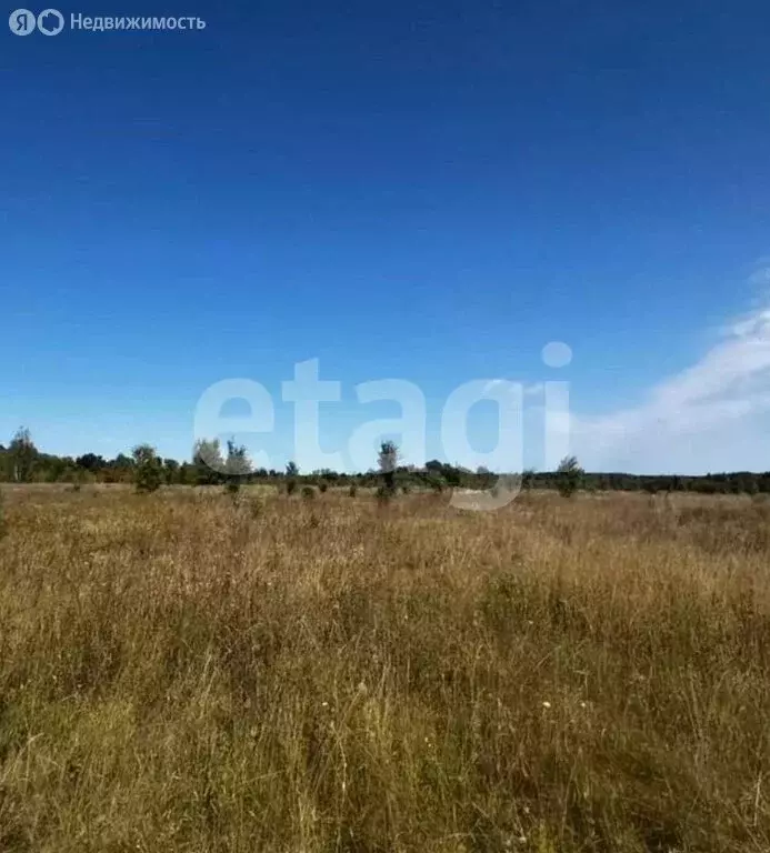 Участок в Азов, Выходной переулок (4.2 м) - Фото 2